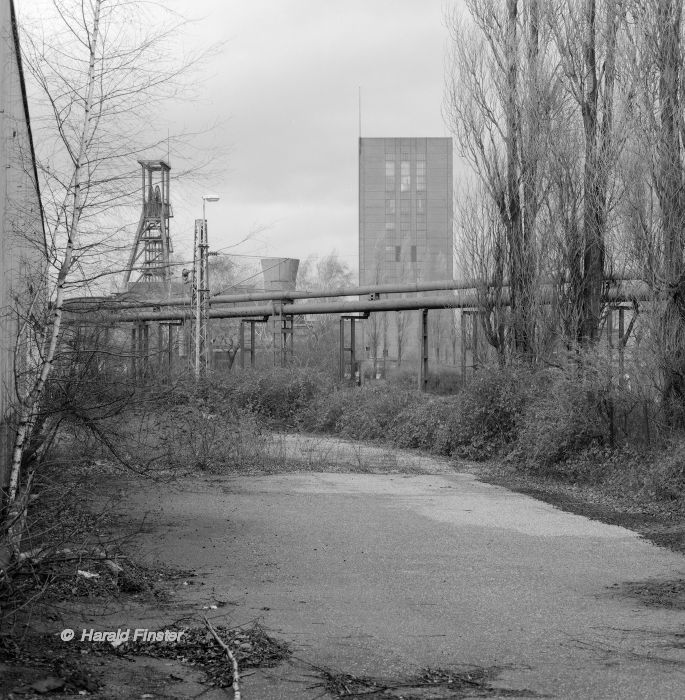 Zollverein 1/2/8 colliery