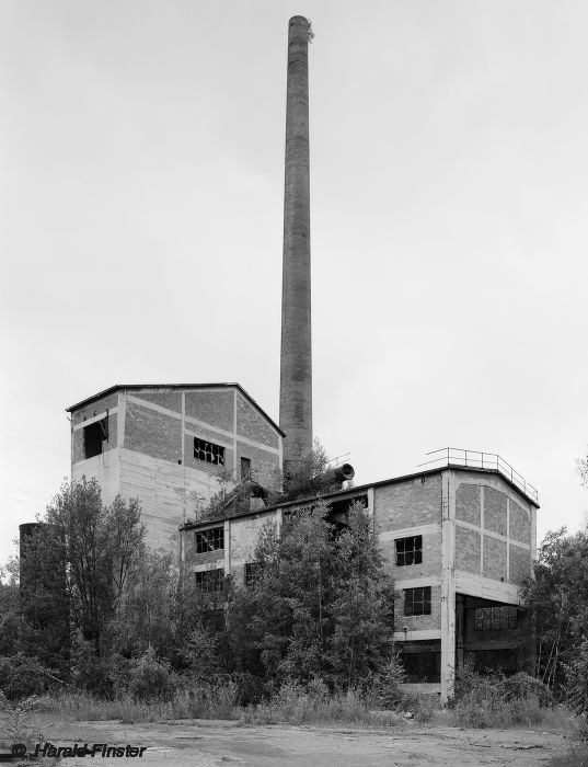 lime plant "Rüst"