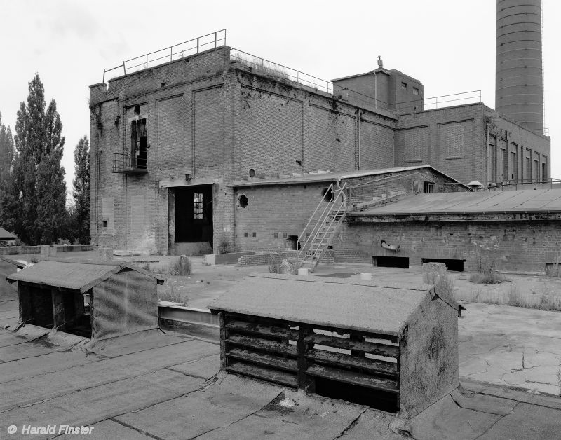 roof-landscape